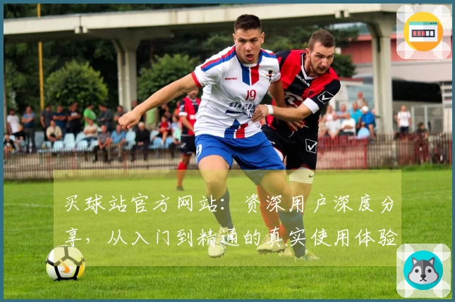 买球站官方网站：资深用户深度分享，从入门到精通的真实使用体验指南