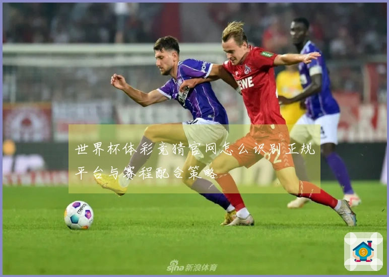 世界杯体彩竞猜官网怎么识别正规平台与赛程配合策略