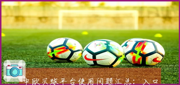 中欧买球平台使用问题汇总：入口、功能与体验全面指南