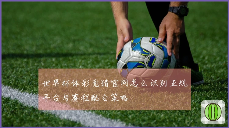 世界杯体彩竞猜官网怎么识别正规平台与赛程配合策略