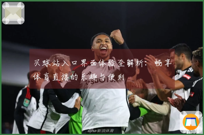 买球站入口界面体验全解析：畅享体育直播的乐趣与便利