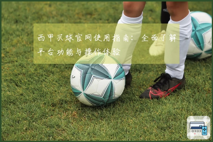 西甲买球官网使用指南：全面了解平台功能与操作体验