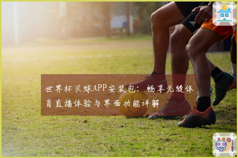 世界杯买球APP安装包：畅享无缝体育直播体验与界面功能详解