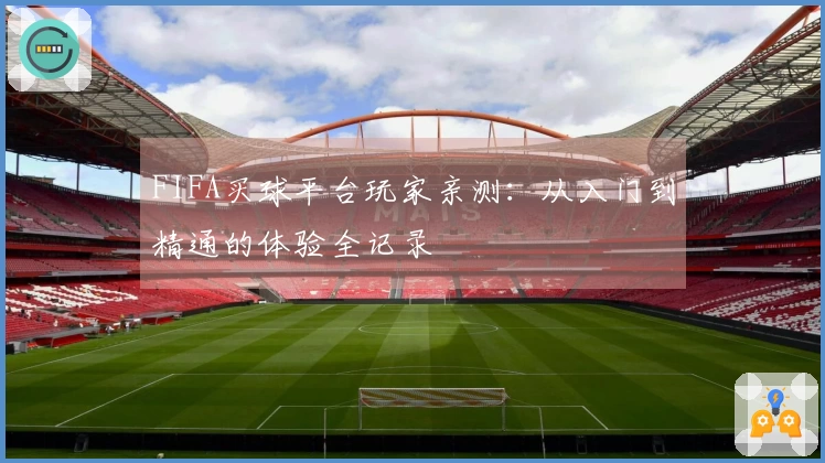 FIFA买球平台玩家亲测：从入门到精通的体验全记录