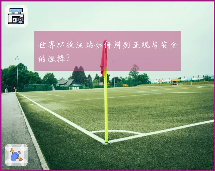 世界杯投注站如何辨别正规与安全的选择?