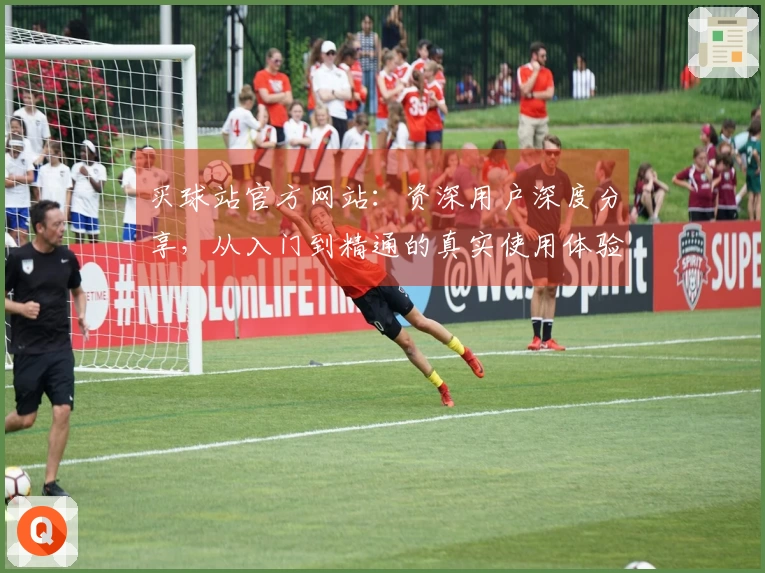 买球站官方网站：资深用户深度分享，从入门到精通的真实使用体验指南